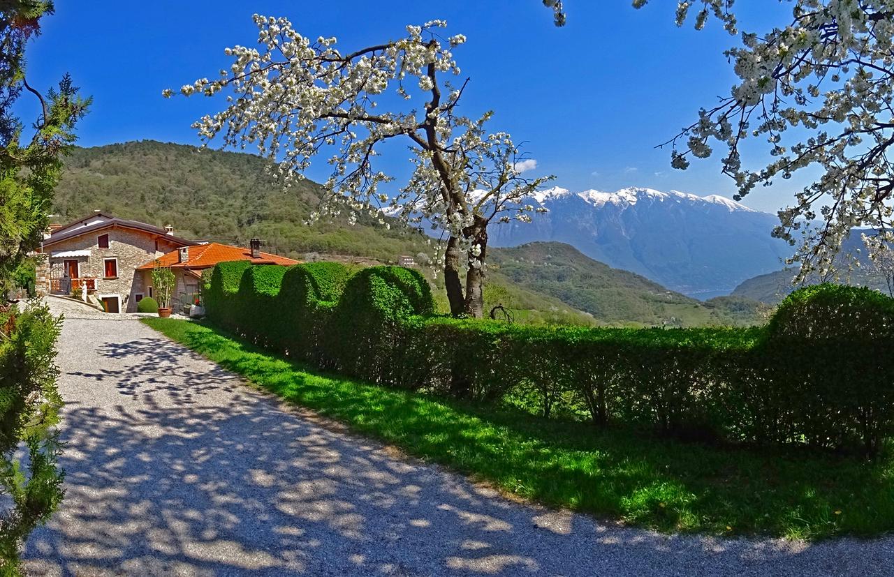 Casa Belvedere Garden By Gardadomusmea Tremosine Exterior foto